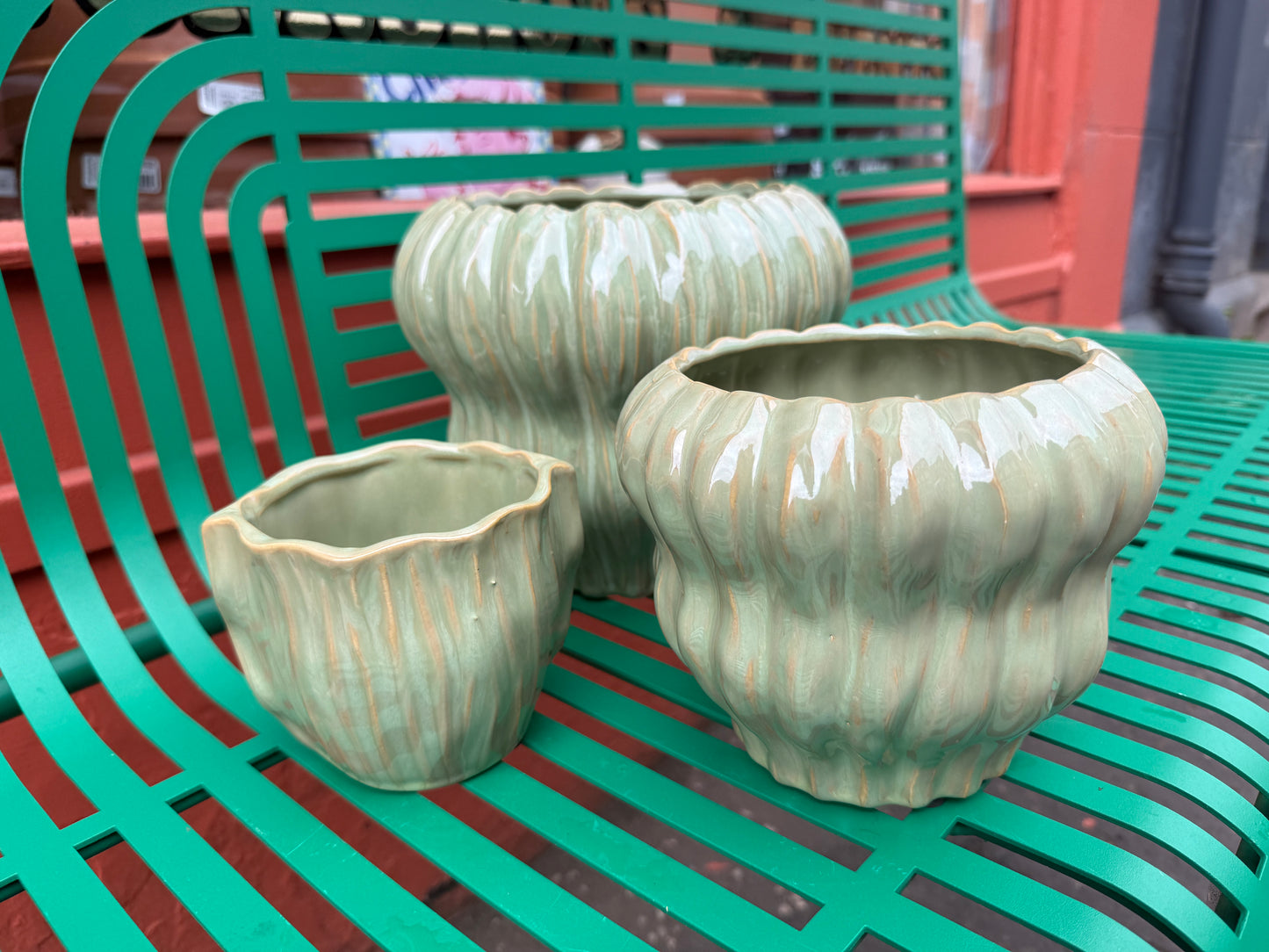 Lettuce Pots