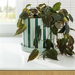 Clash Stripe Planter with Saucer