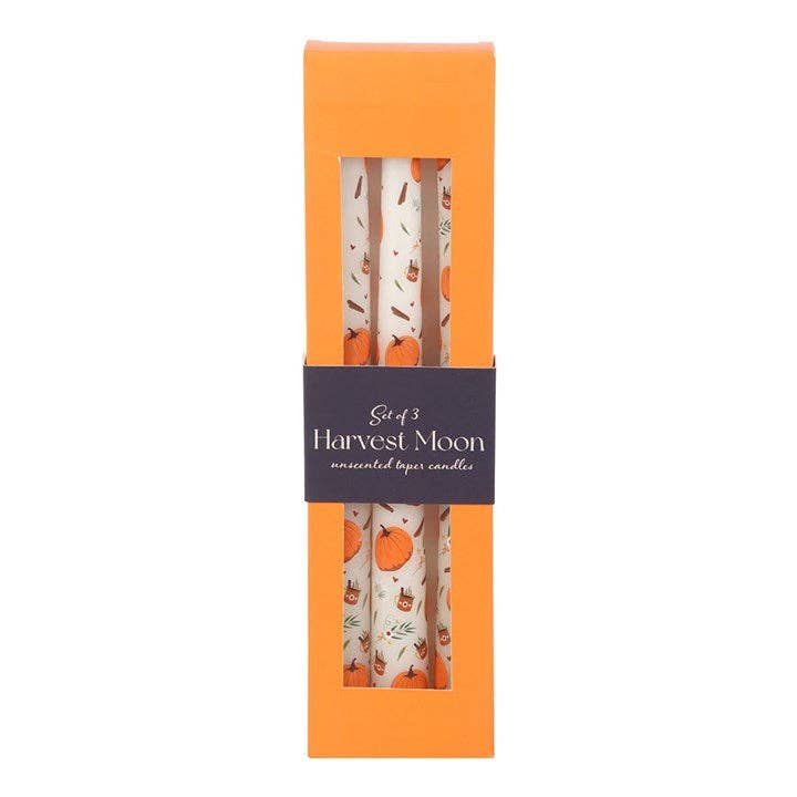 Autumn Pumpkin Taper Candles