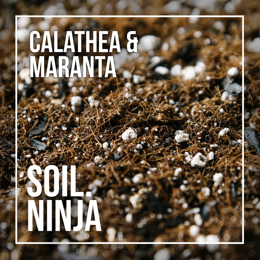 Soil Ninja - Calathea + Maranta