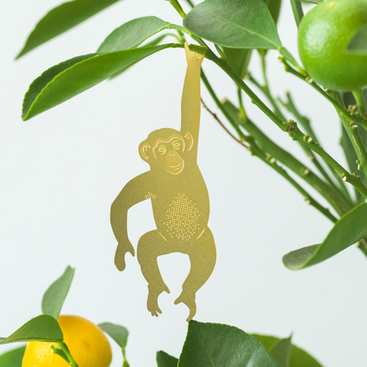 Plant Animal - Chimpanzee, brass plant decor