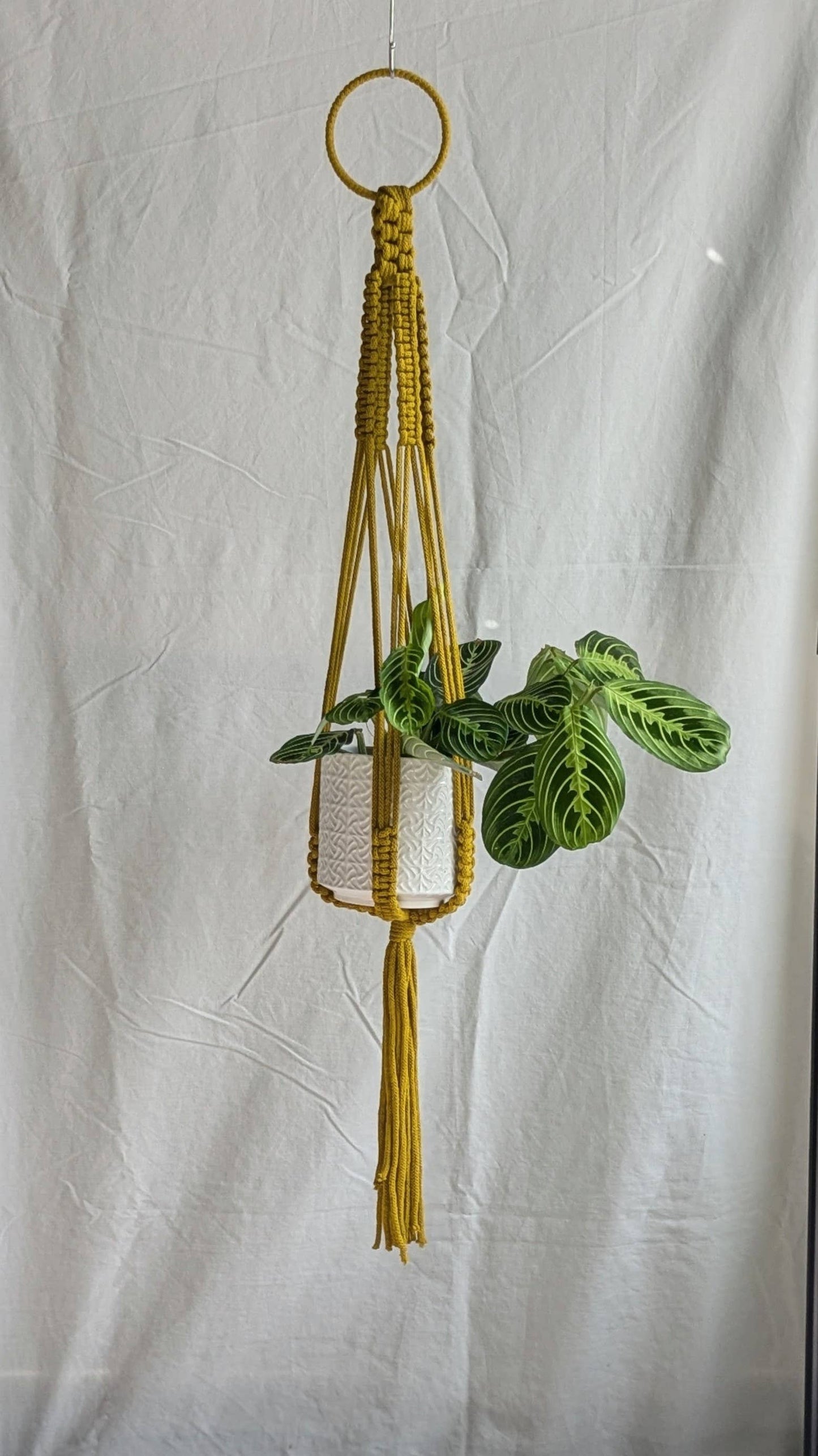 Large Macrame Plant Hanger | Eco Friendly | Recycled Cotton: Yellow