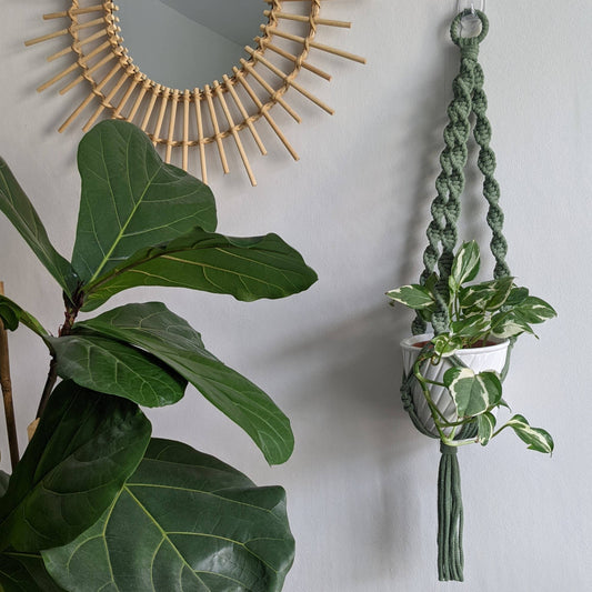 Spiral Macrame Plant Hanger | Eco Friendly | Recycled Cotton: Sage Green