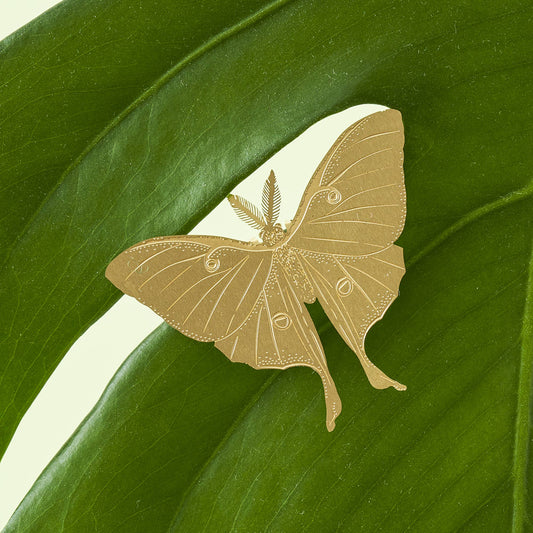 Plant Animal - Luna Moth