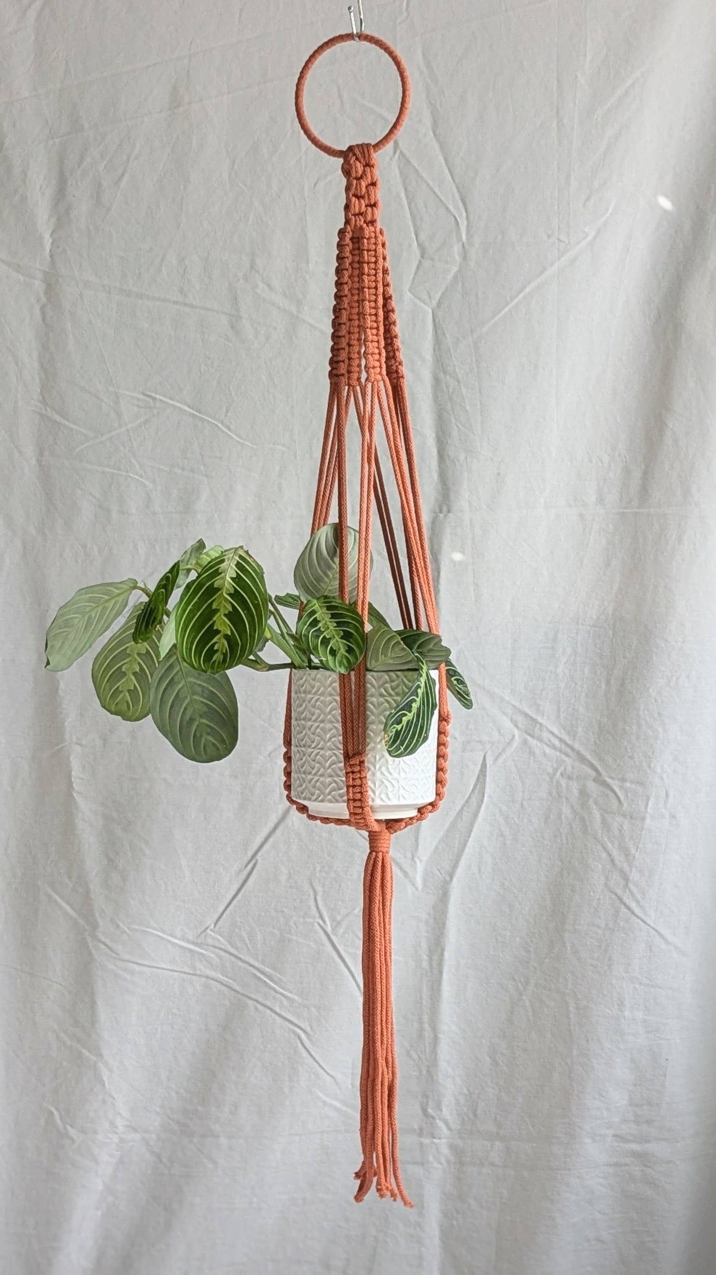 Large Macrame Plant Hanger | Eco Friendly | Recycled Cotton: Yellow