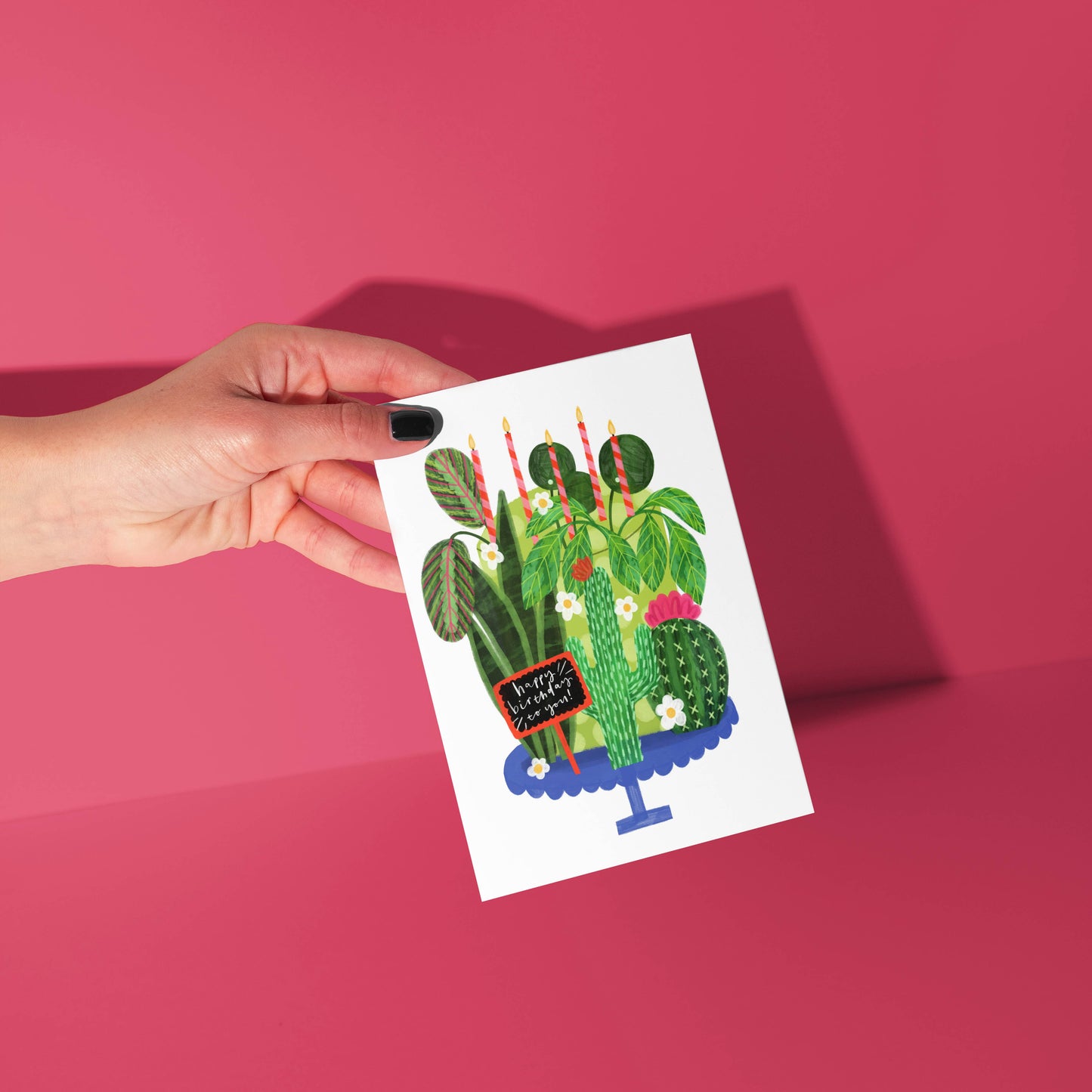 House plant, cactus birthday cake greetings card