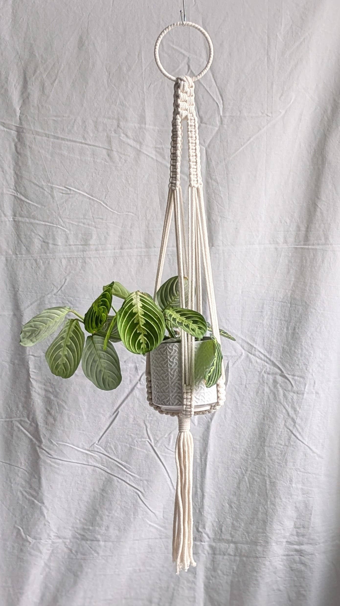 Large Macrame Plant Hanger | Eco Friendly | Recycled Cotton: Yellow