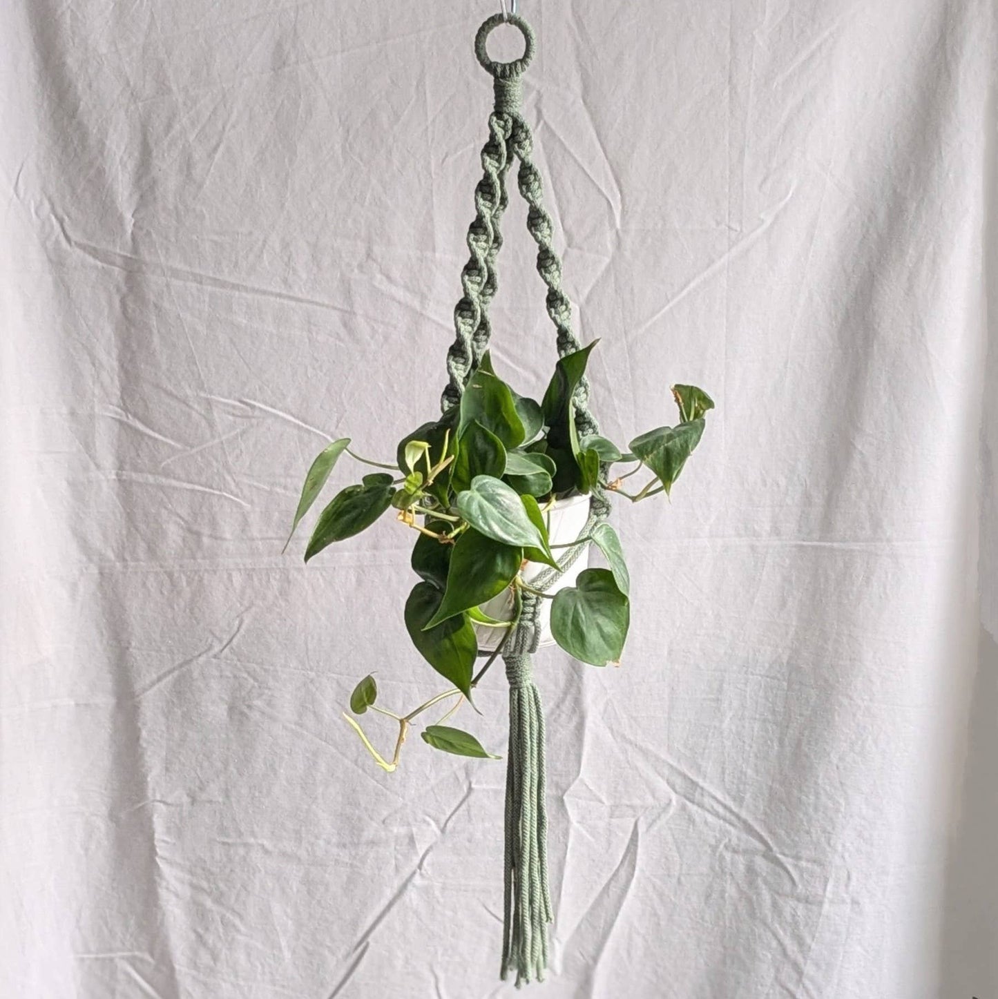 Spiral Macrame Plant Hanger | Eco Friendly | Recycled Cotton: Sage Green