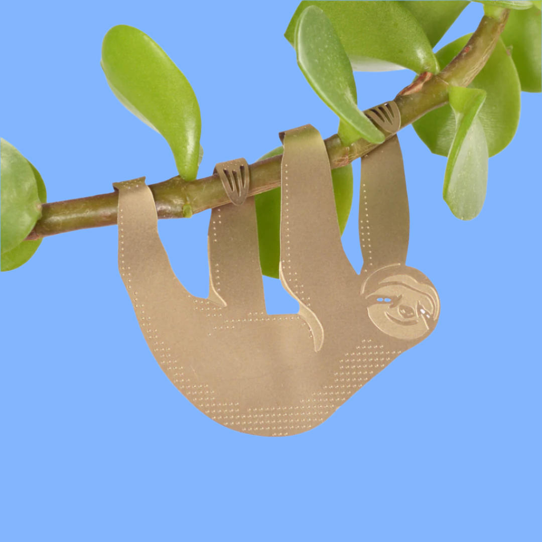 Brass Plant Animal - Sloth