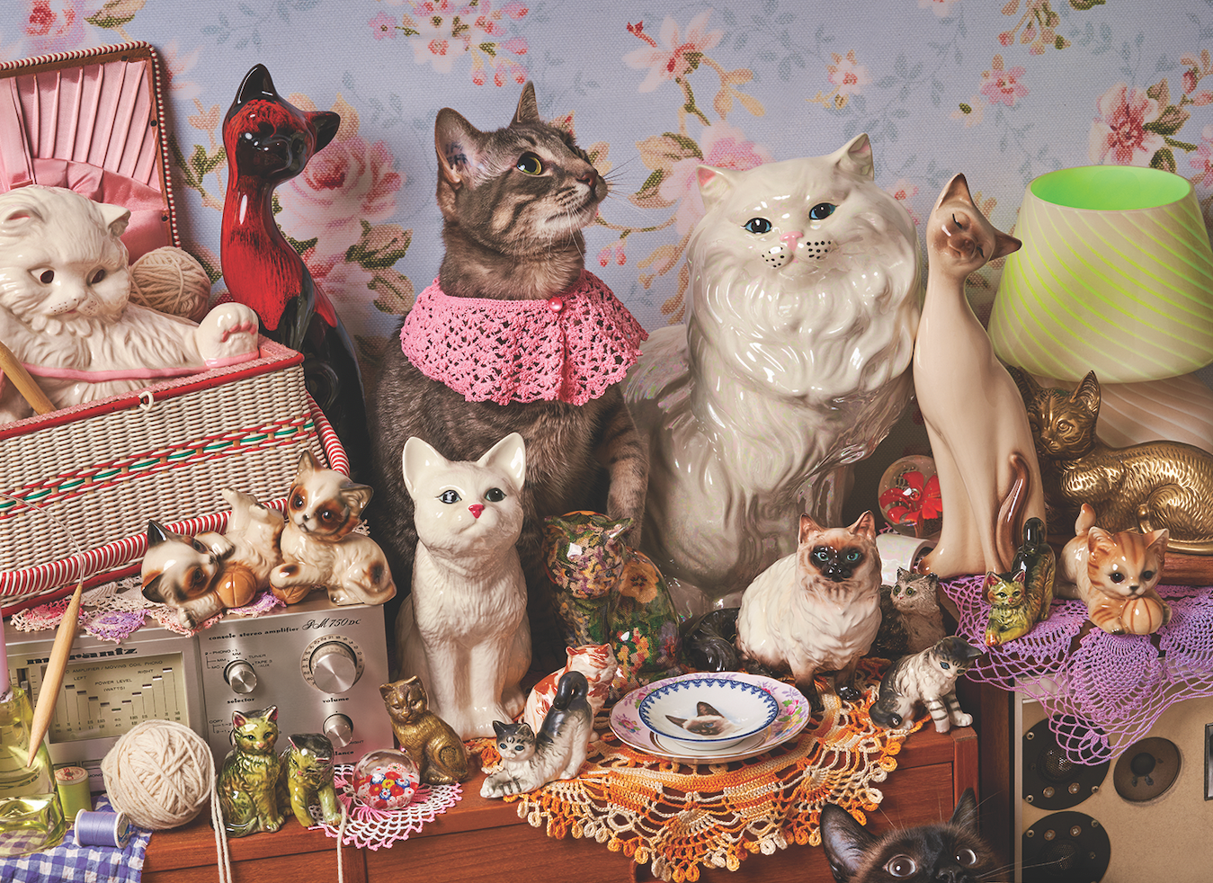 Cat Person - 1000 Pieces Jigsaw Puzzle