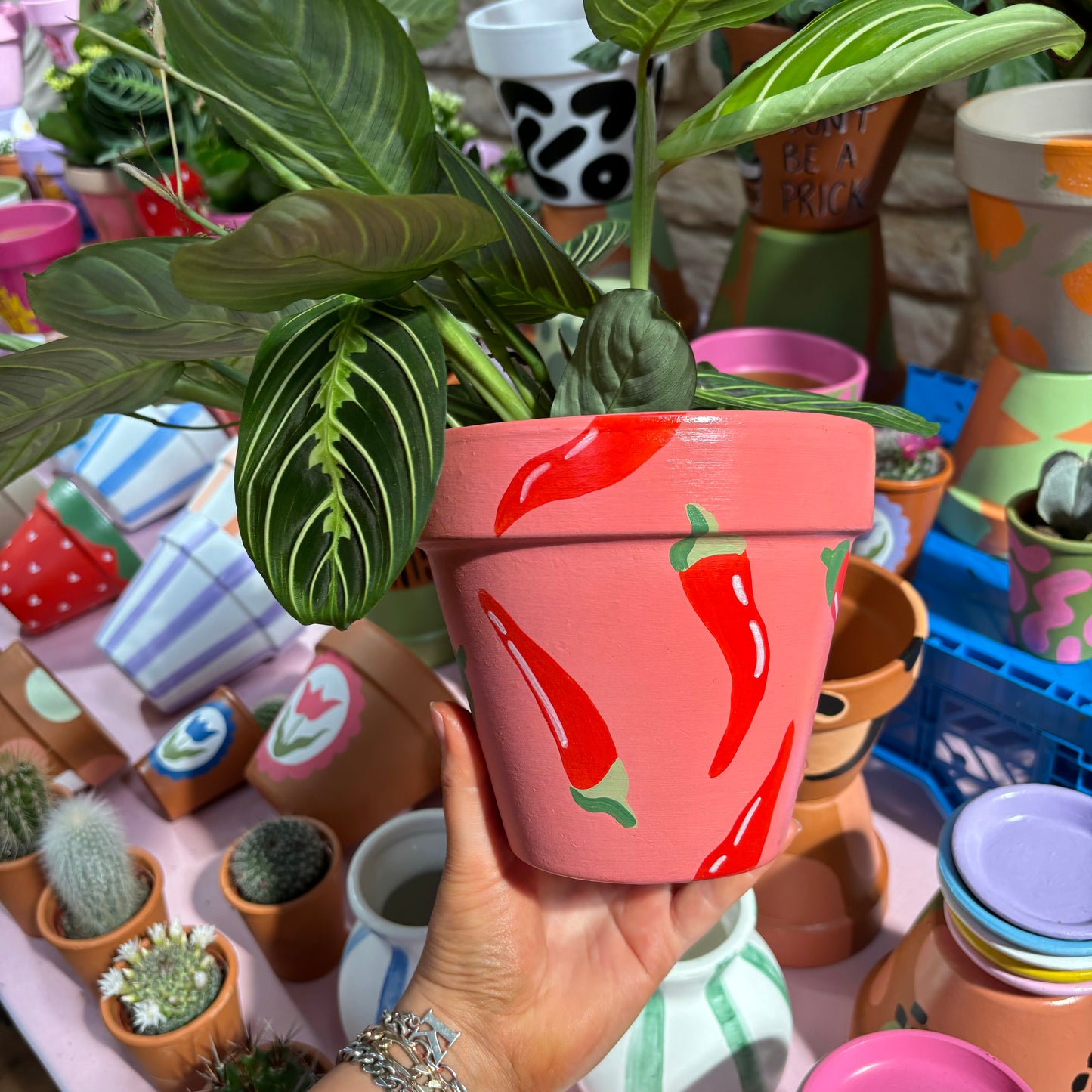 Chilli Pepper Plant Pot