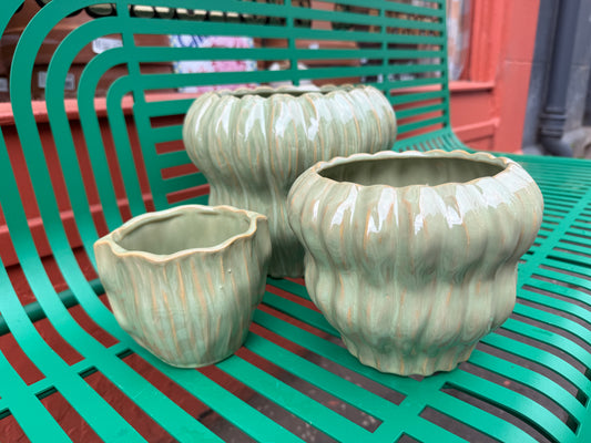 Lettuce Pots