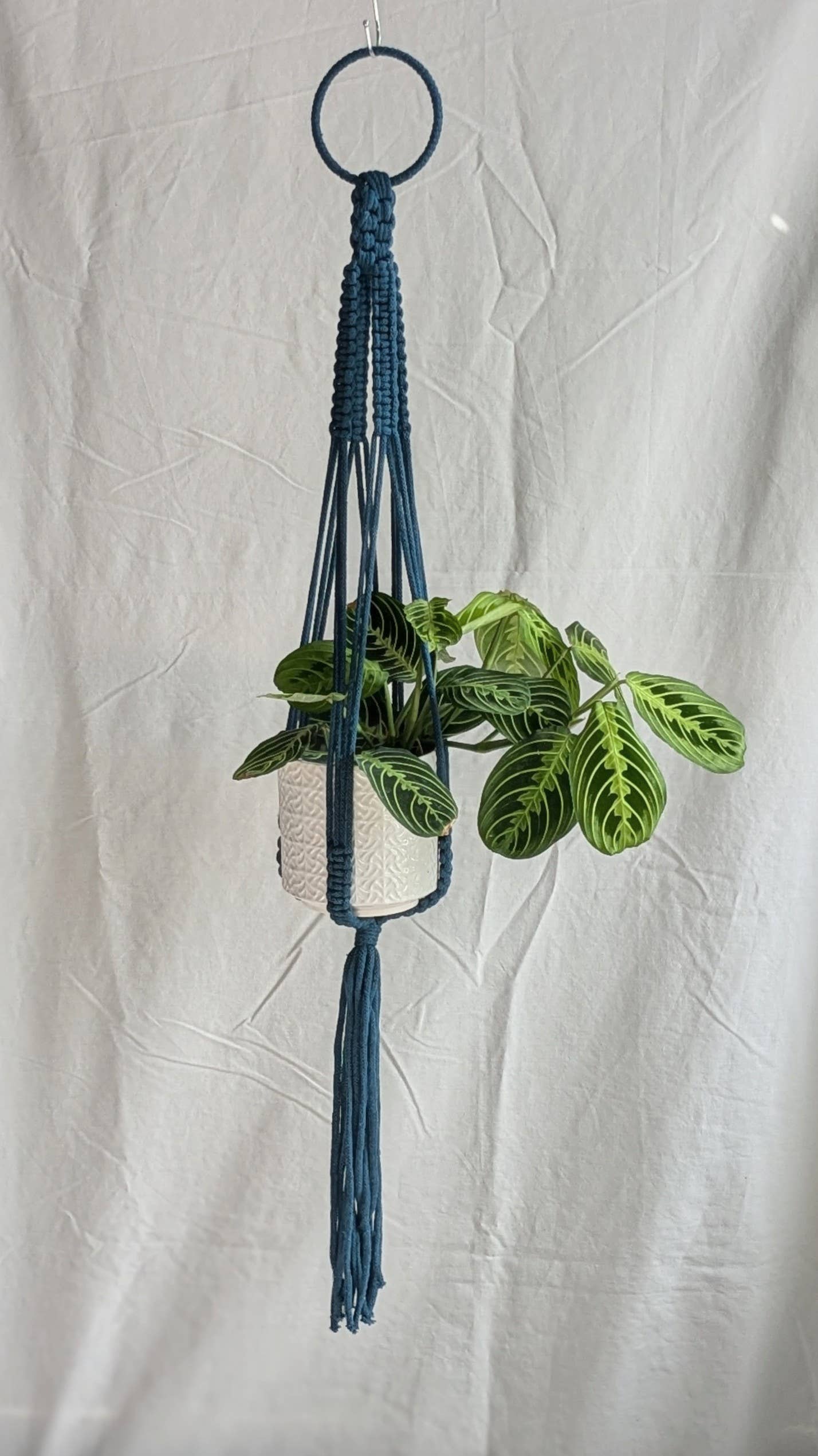 Large Macrame Plant Hanger | Eco Friendly | Recycled Cotton: Yellow