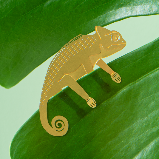 Plant Animal - Chameleon