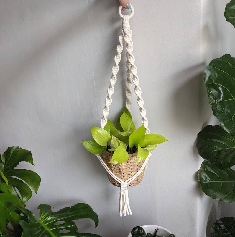 Spiral Macrame Plant Hanger | Eco Friendly | Recycled Cotton: Natural