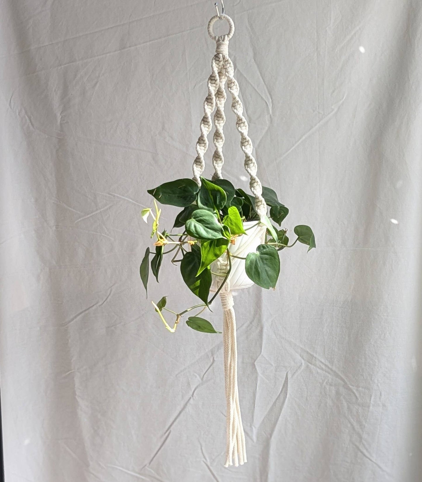 Spiral Macrame Plant Hanger | Eco Friendly | Recycled Cotton: Natural